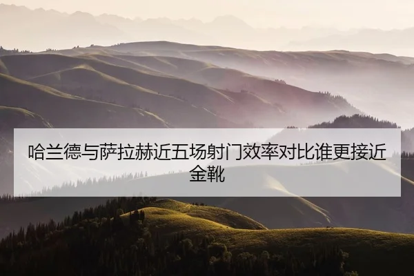 哈兰德与萨拉赫近五场射门效率对比谁更接近金靴
